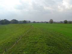 Elektrodenanordnung der Sondierungskartierung